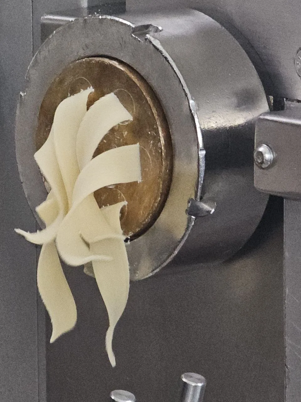L'extrudeuse façonne des tagliatelles de pâtes fraîches